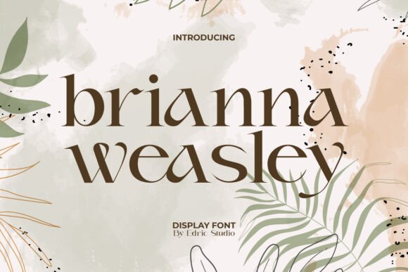 Brianna Weasley: A Modern Serif Font for Elevated Web Design