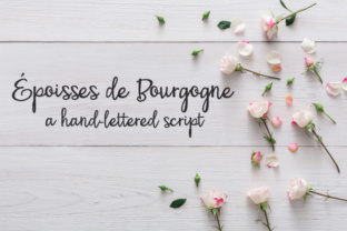 PN Époisses De Bourgogne: The Script Amp That Elevates Campaign Visuals