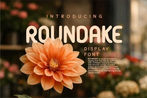 Roundake: The Friendly Display Typeface for Modern Web Design
