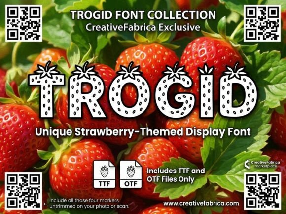 Trogid: The Creative Font That Sweetens Your Digital Campaigns