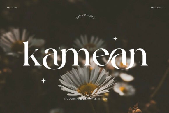 Upgrade Your Brand Identity with the Kamean Serif Typeface
